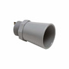 MB7369-100 Image